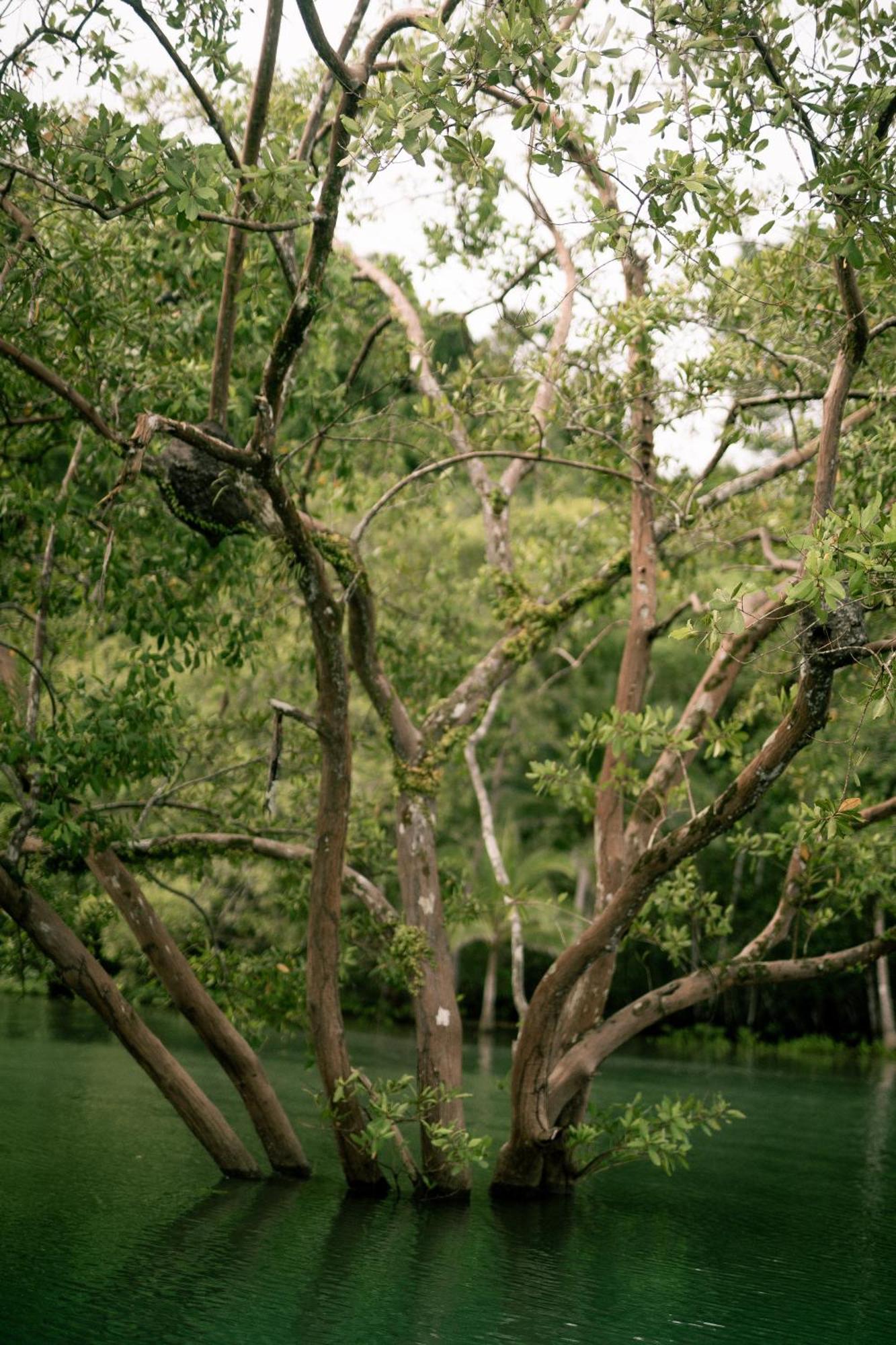 Saladero Ecolodge Esquinas Bagian luar foto