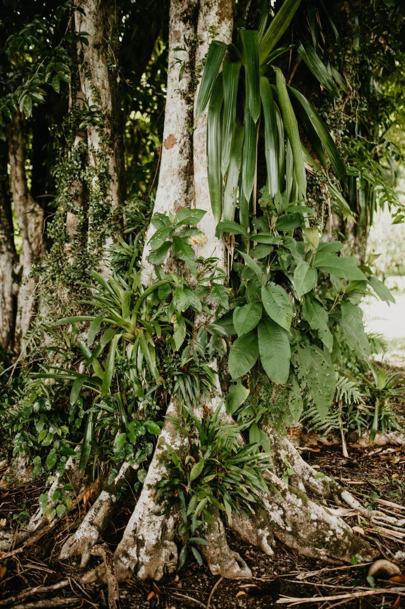 Saladero Ecolodge Esquinas Bagian luar foto